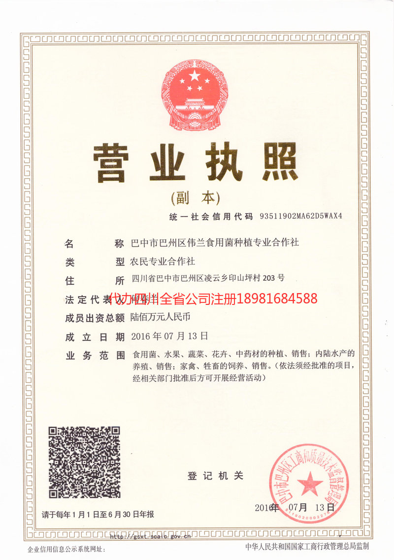 毕节毕节伟兰食用菌种植专业合作社